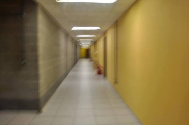 12239928_835195619933415_6177982220160042545_n